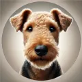 Airedale Terrier Airedale Terrier
