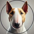 Bull Terrier Bull Terrier